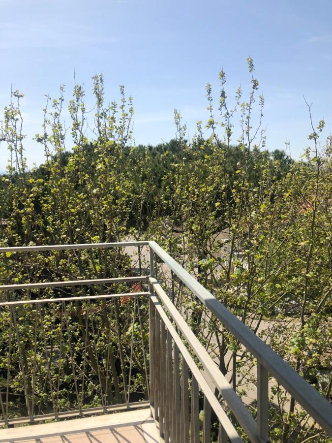 Hotel Del Falco Cervia Buitenkant foto